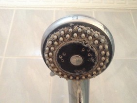 Shower Heads should always be kept clean!